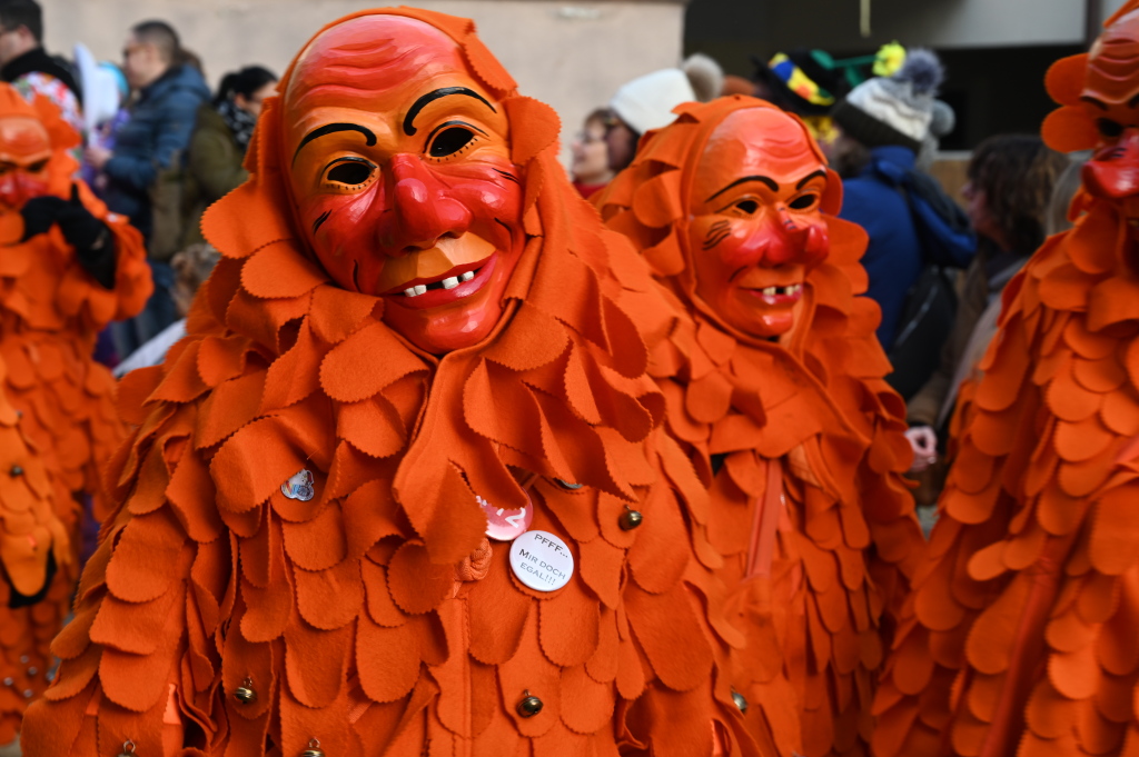 Tausende Besucher strmten am Samstag zum Fasnachtsumzug, den die Burkheimer Schnecken zum Jubilum ihres 55-jhrigen Bestehens auf die Beine stellten.