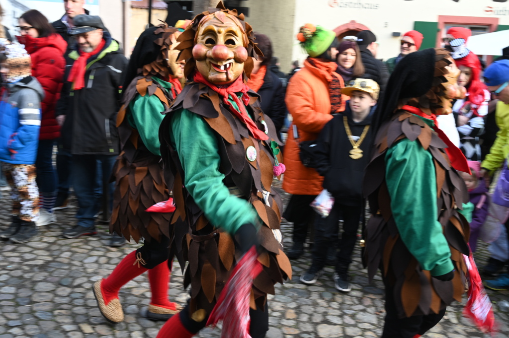 Tausende Besucher strmten am Samstag zum Fasnachtsumzug, den die Burkheimer Schnecken zum Jubilum ihres 55-jhrigen Bestehens auf die Beine stellten.