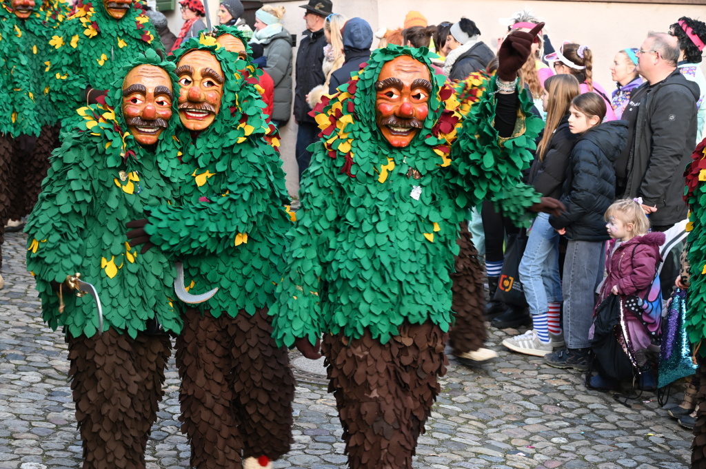 Tausende Besucher strmten am Samstag zum Fasnachtsumzug, den die Burkheimer Schnecken zum Jubilum ihres 55-jhrigen Bestehens auf die Beine stellten.