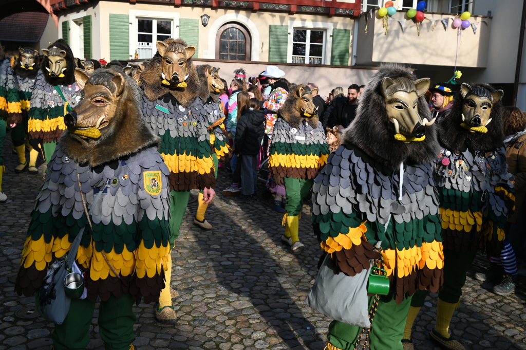 Tausende Besucher strmten am Samstag zum Fasnachtsumzug, den die Burkheimer Schnecken zum Jubilum ihres 55-jhrigen Bestehens auf die Beine stellten.