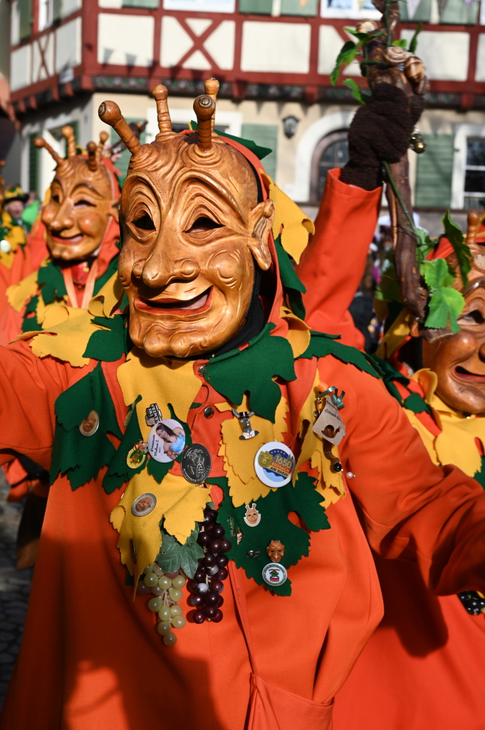 Tausende Besucher strmten am Samstag zum Fasnachtsumzug, den die Burkheimer Schnecken zum Jubilum ihres 55-jhrigen Bestehens auf die Beine stellten.