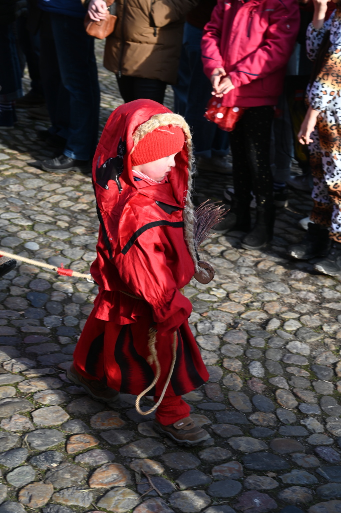 Tausende Besucher strmten am Samstag zum Fasnachtsumzug, den die Burkheimer Schnecken zum Jubilum ihres 55-jhrigen Bestehens auf die Beine stellten.