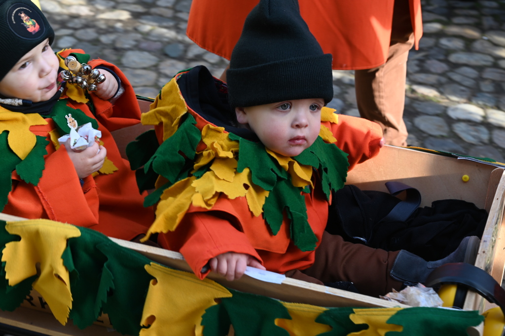 Tausende Besucher strmten am Samstag zum Fasnachtsumzug, den die Burkheimer Schnecken zum Jubilum ihres 55-jhrigen Bestehens auf die Beine stellten.