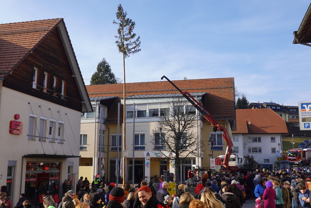 Professionell: Ruckzuck wurde die 21 Meter lange etwas krumme „kofichte“ von der Feuerwehr zusammen mit dem Holzbau Matt/Scheuble Team in die Senkrechte gebracht.