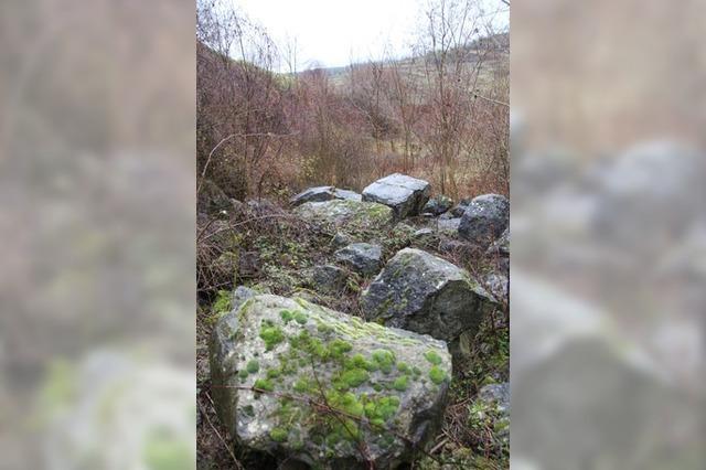 Lost Place: In Eichstetten gibt es Relikte frherer Steinbrche