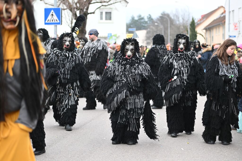 Fasnachtsumzug in St. Georgen