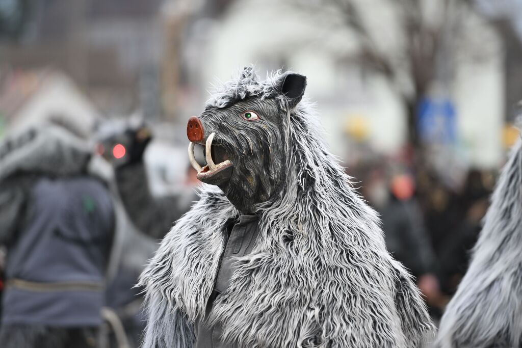 Fasnachtsumzug in St. Georgen