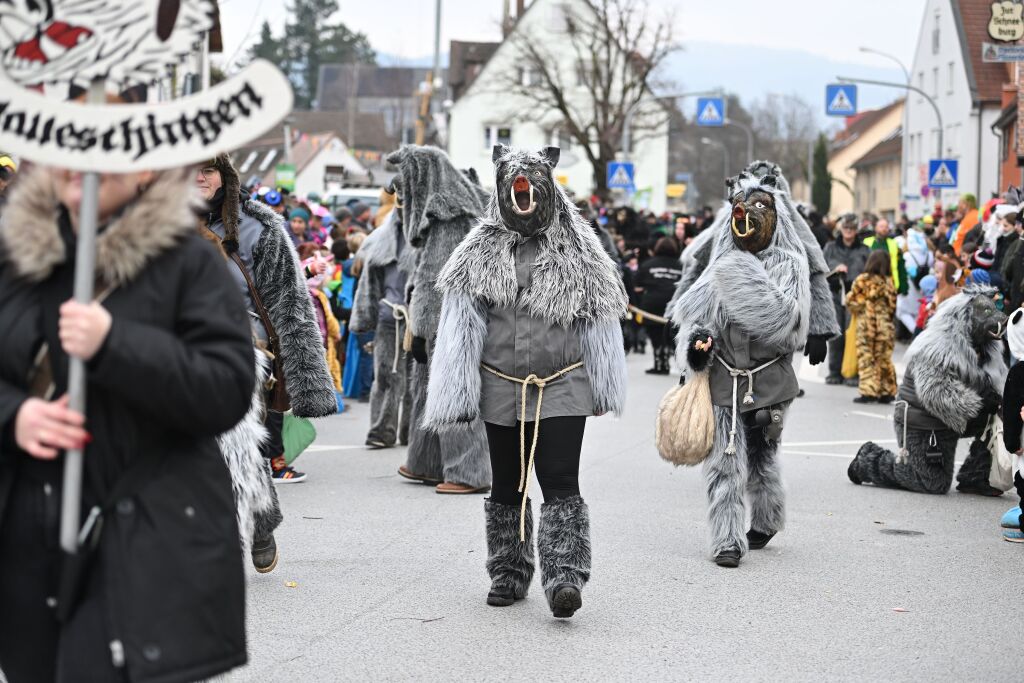 Fasnachtsumzug in St. Georgen