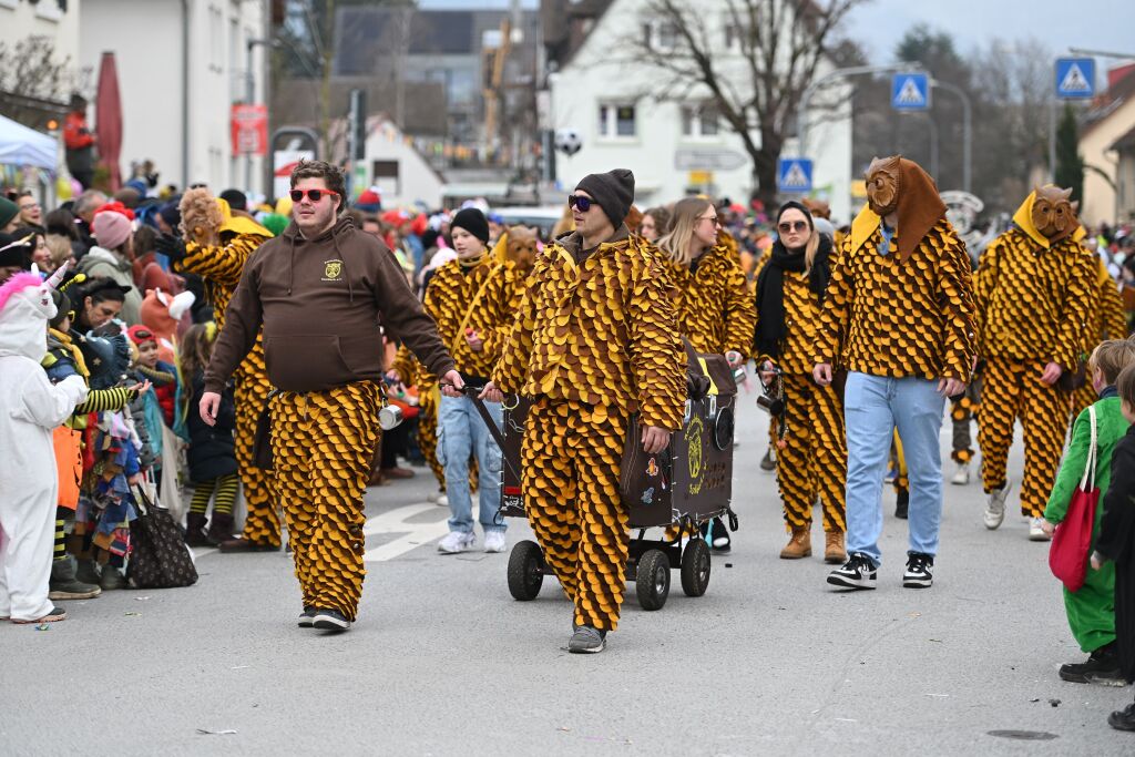 Fasnachtsumzug in St. Georgen