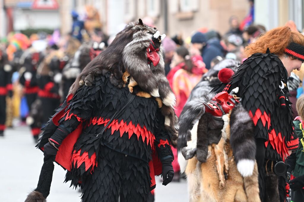 Fasnachtsumzug in St. Georgen