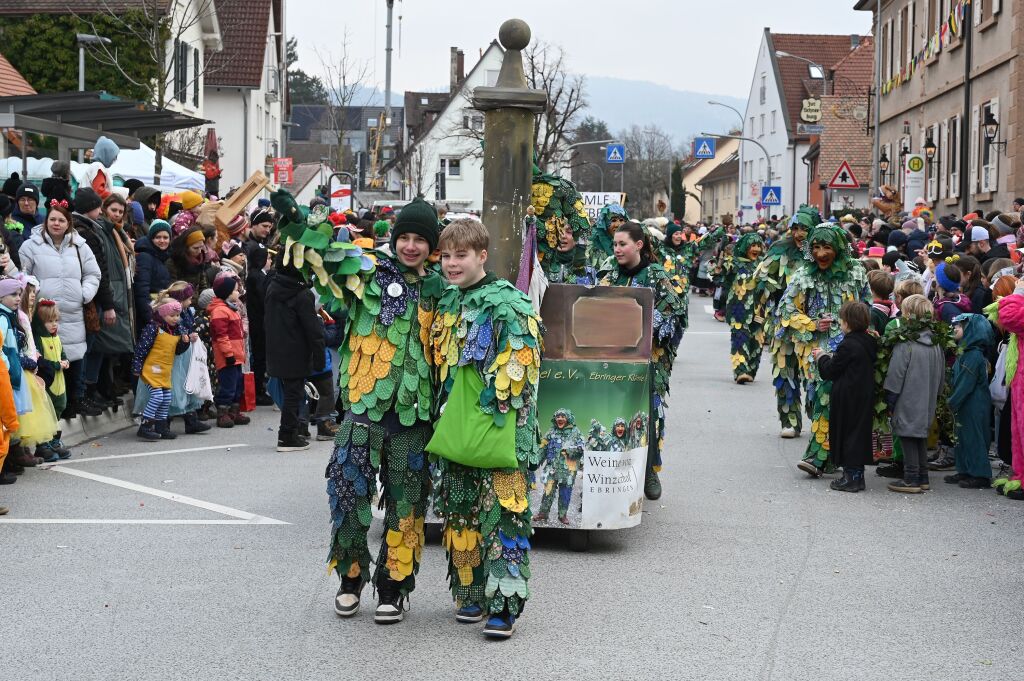 Fasnachtsumzug in St. Georgen