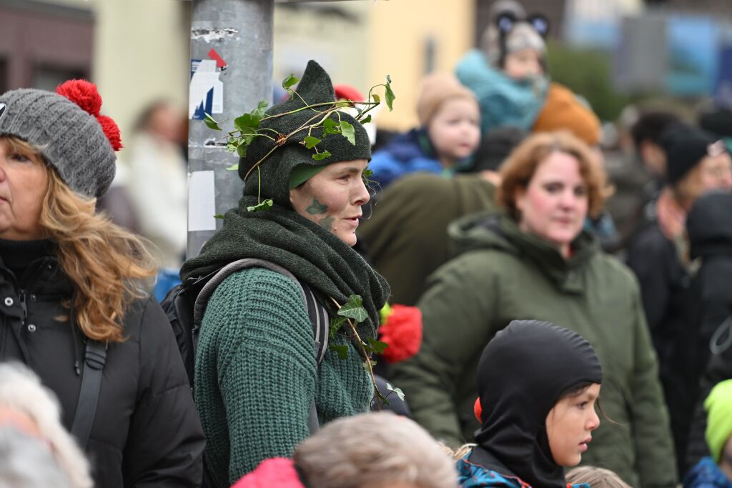 Fasnachtsumzug in St. Georgen