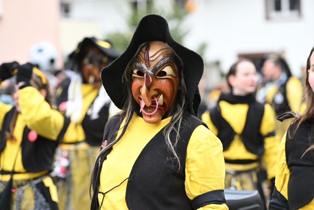 Fasnachtsumzug in St. Georgen