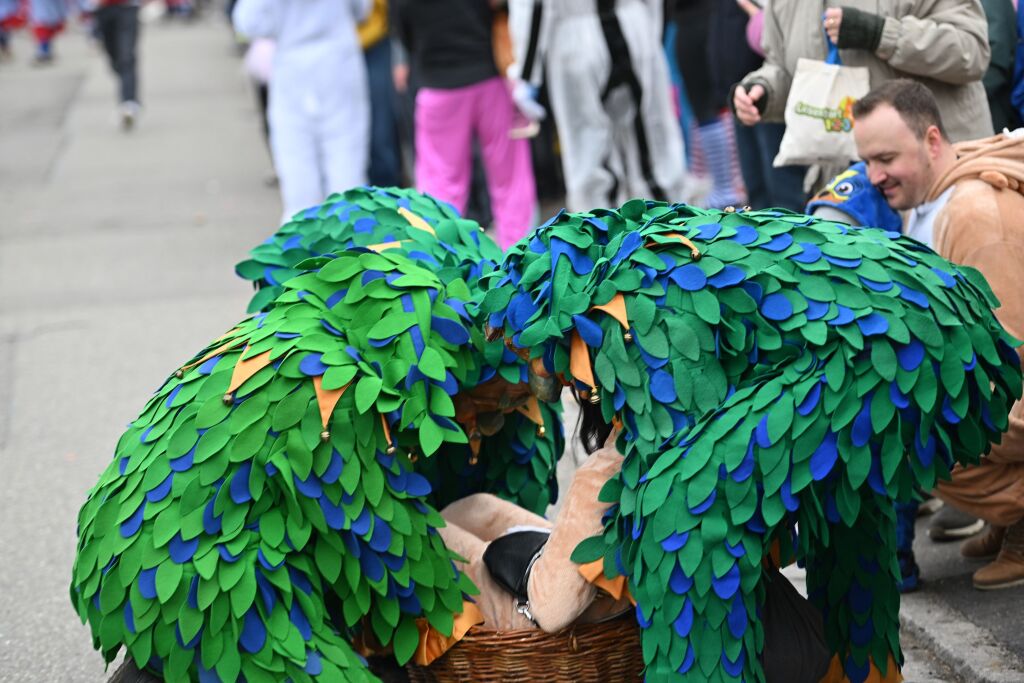 Fasnachtsumzug in St. Georgen