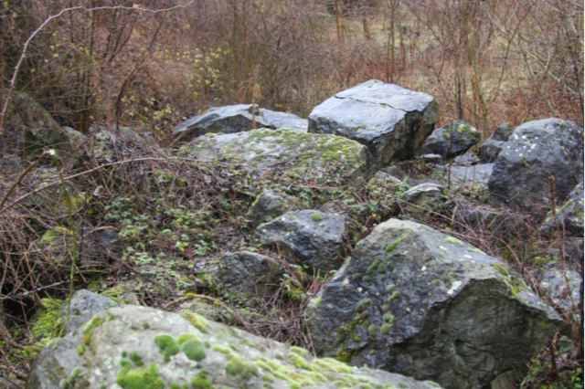 Verborgen im Wald: In Eichstetten gibt es Relikte frherer Steinbrche