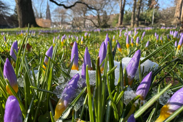 Hhere Temperaturen in Sicht - am Freitag bis zu 17 Grad in Sdbaden