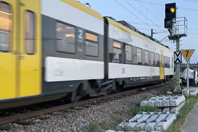 Breisacher S-Bahn-Schlger bekommt Haftstrafe ohne Bewhrung