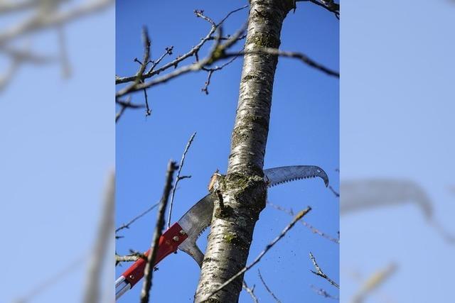 Leserbrief: Hoffentlich nicht fristlos gekndigt