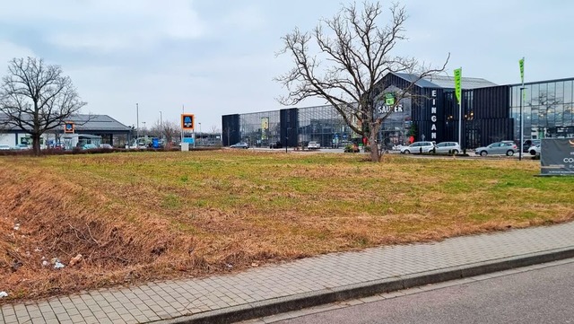 Fr dieses Grundstck in der Dr.-Georg...liegt ein Bauantrag fr ein Hotel vor.  | Foto: Wolfgang Knstle