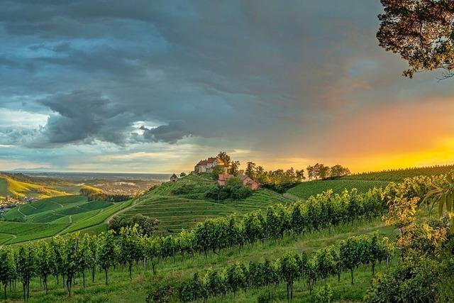 Gste aus der Schweiz an der Spitze der Ortenauer Tourismusbilanz 2024