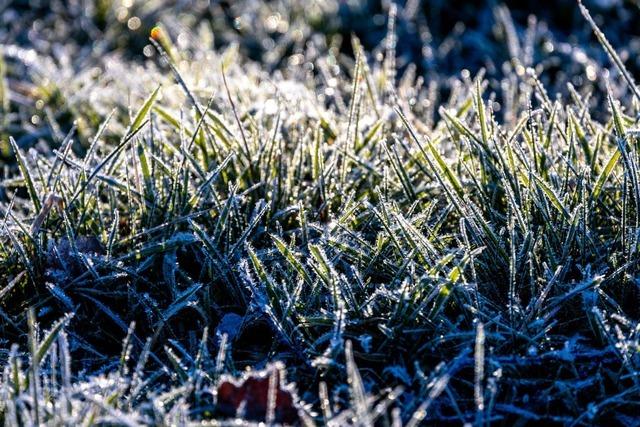 Warmfront weckt Vorfreude auf den Frühling