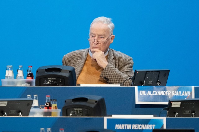 Gauland widerspricht Weidel. (Archivbild)  | Foto: Sebastian Kahnert/dpa