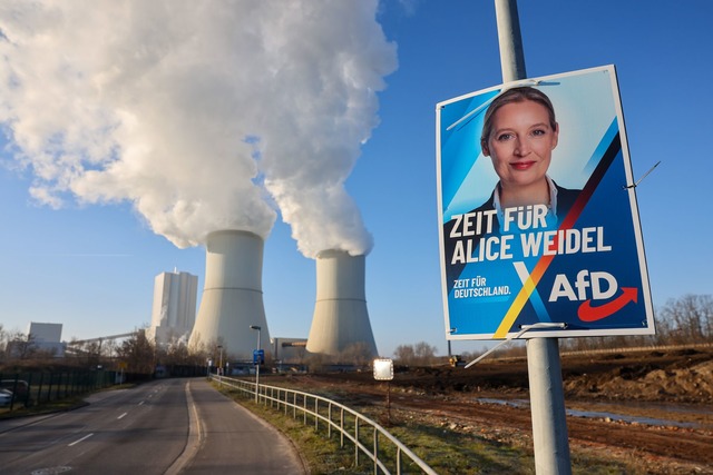 Wirtschaftsvertreter warnen vor den Fo... AfD f&uuml;r die deutsche Wirtschaft.  | Foto: Jan Woitas/dpa