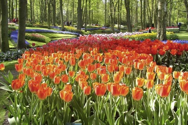 Gartenfahrten bei Busreisen im Trend