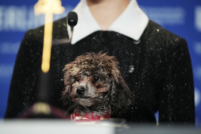 Margaret Qualleys Hund hei&szlig;t Smokey.  | Foto: S&ouml;ren Stache/dpa