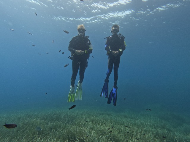 Die Fische scheinen Taucher anhand von...len ihrer Ausr&uuml;stung zu erkennen.  | Foto: -/Behavioural Evolution Lab /Max Planck Institute of Animal Behavior/dpa