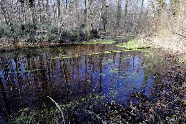 Beim Widerstand gegen die Polderplne des Landes hofft ein Weisweiler auf Hilfe vom Petitionsausschuss