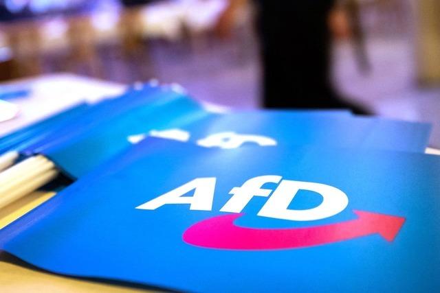 Berichte über Ermittlungen nach Großspende an AfD