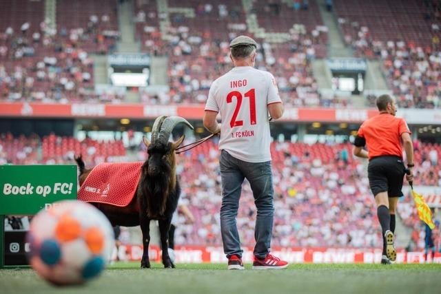 Lebende Fuball-Maskottchen: tierische Glcksbringer oder tierische Schmerzen?