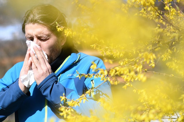 Allergiker sollten sich mglichst wenig den Pollen aussetzen.  | Foto: Angelika Warmuth (dpa)