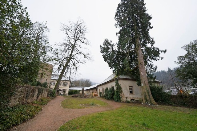 Im Sulzburger Kurpark soll nun die hoh...t an der Remise steht, gefllt werden.  | Foto: Volker Mnch