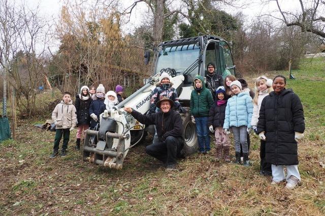 Kinder der Friedlinger Rheinschule pflegen Streuobstwiesen und pflanzen Apfelbume am Tllinger