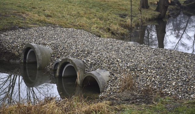 berweg zur Insel: Die Dohlen zur neuen Brcke am Angelsee liegen schon.  | Foto: Roland Vitt