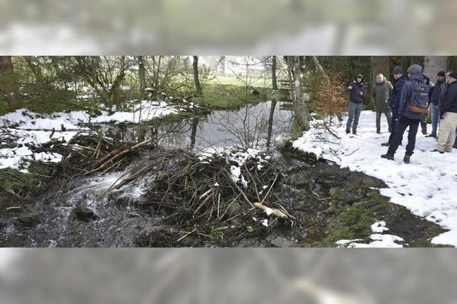 Lchrige Wege, berschwemmte Loipen