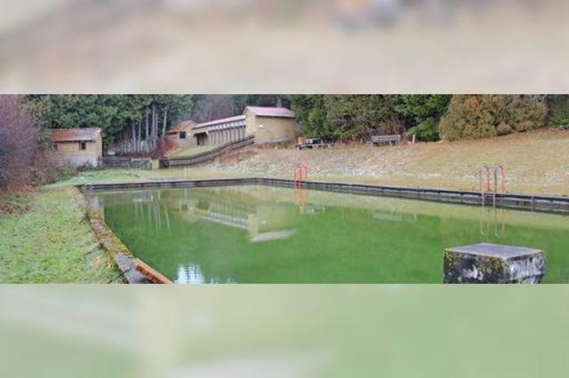 Lost Place: Das Naturbad in Gschweiler war einst ein Touristenmagnet - heute planschen hier Molche