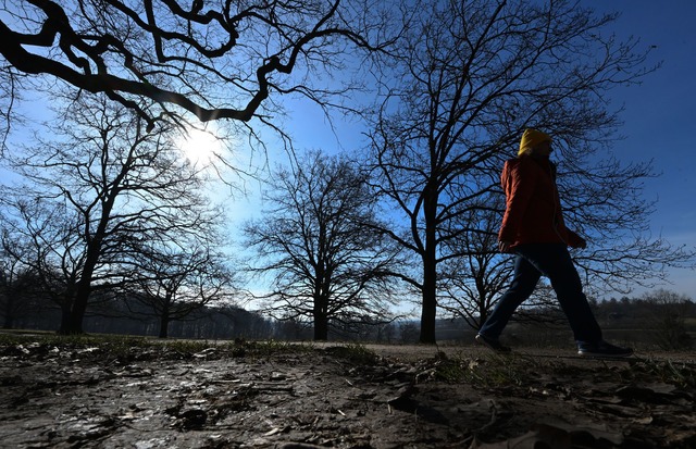 Am Wochenende erwarten die Menschen zweistellige Temperaturen.  | Foto: Bernd Wei&szlig;brod/dpa