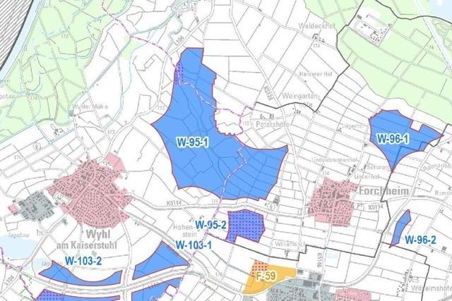 Darum wollen Wyhl, Forchheim und Weisweil ihre Flchen fr Windkraftanlagen gemeinsam vermarkten