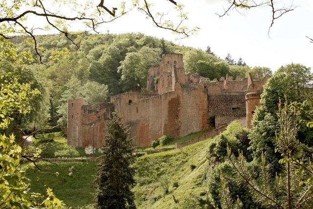 Schloss- und Festungsruine Hardenburg