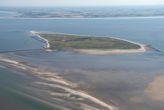 Die Nordseeinsel Minsener Oog  | Foto: Sina Schuldt (dpa)