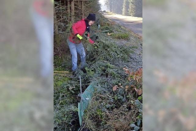 rger am Amphibienzaun beim Langenhard