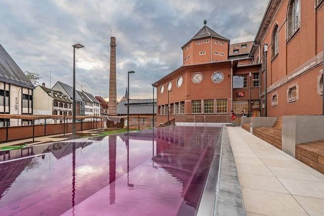 Badevergngen in Straburg mit Blick auf den Mnsterturm