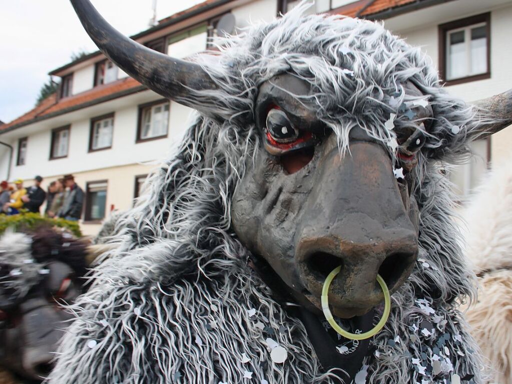 Gute Stimmung herrschte bei der Herrischrieder Dorffasnacht