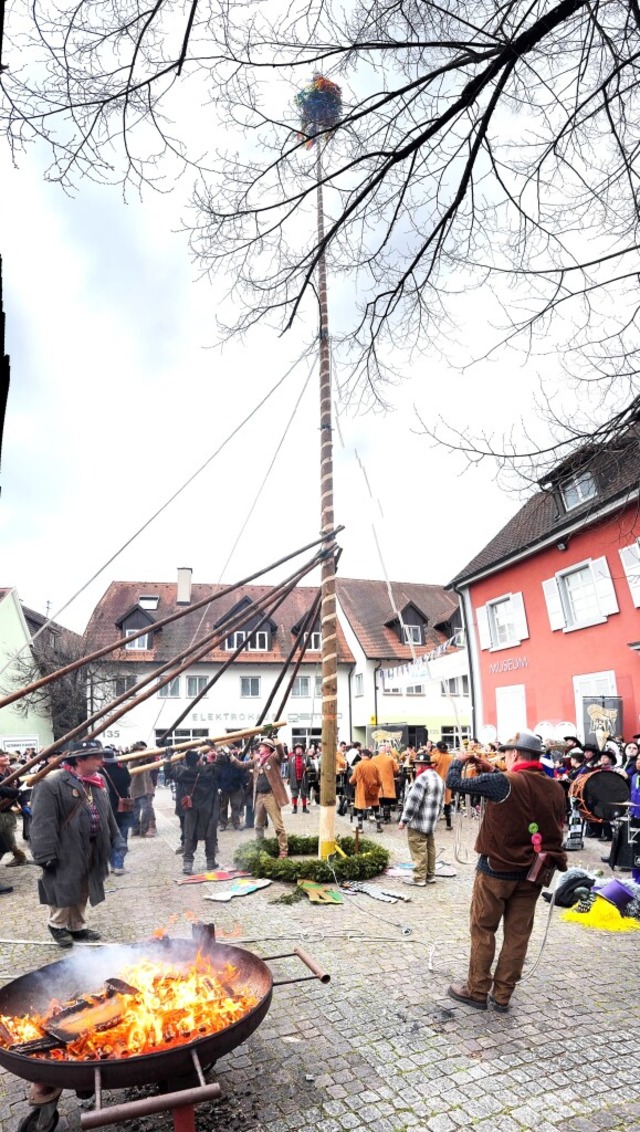 Die letzten Zentimeter. bevor der Narrnbaum in das Loch rutscht  | Foto: Anita Indri-Werner