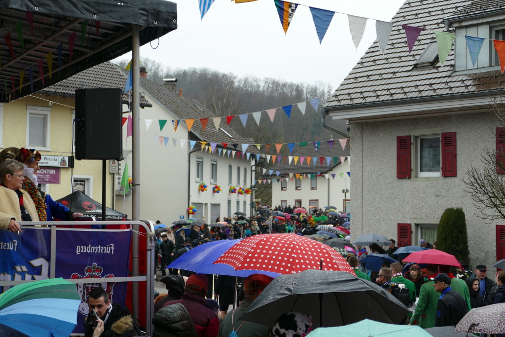 Eindrcke vom Umzug des 57. VHN-Narrentreffens in flingen