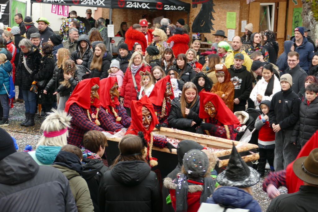 Eindrcke vom Umzug des 57. VHN-Narrentreffens in flingen