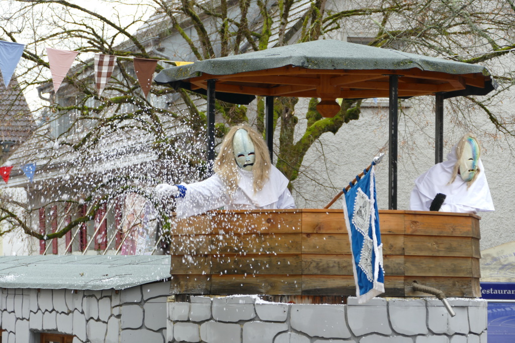 Eindrcke vom Umzug des 57. VHN-Narrentreffens in flingen